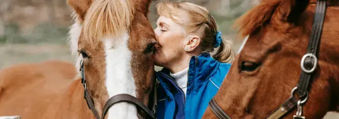 Paardenoppas service verzorger aan huis erf paardenverzorger